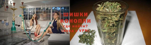 МДПВ Мегион